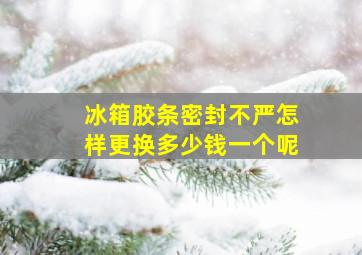 冰箱胶条密封不严怎样更换多少钱一个呢