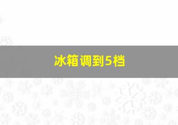 冰箱调到5档