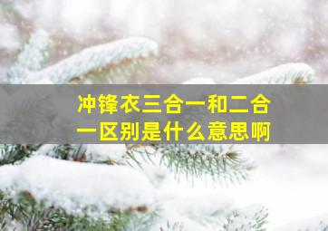 冲锋衣三合一和二合一区别是什么意思啊