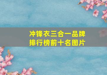 冲锋衣三合一品牌排行榜前十名图片