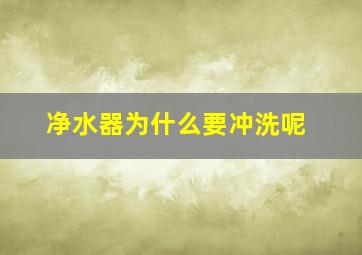 净水器为什么要冲洗呢