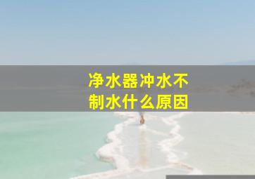 净水器冲水不制水什么原因