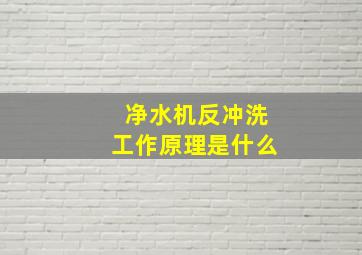 净水机反冲洗工作原理是什么