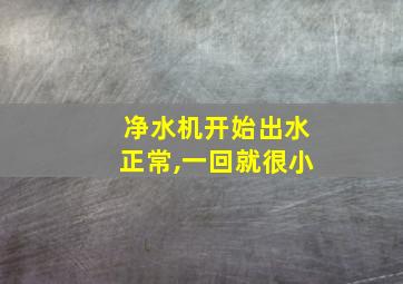 净水机开始出水正常,一回就很小