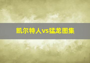 凯尔特人vs猛龙图集