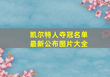 凯尔特人夺冠名单最新公布图片大全