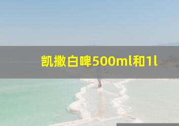 凯撒白啤500ml和1l