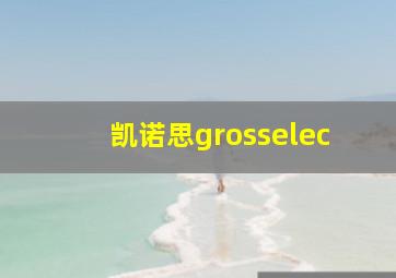 凯诺思grosselec