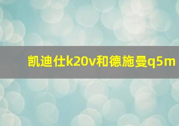 凯迪仕k20v和德施曼q5m