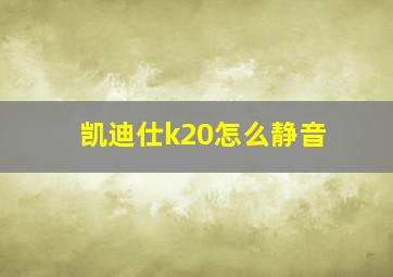 凯迪仕k20怎么静音