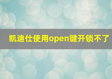 凯迪仕使用open键开锁不了