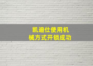 凯迪仕使用机械方式开锁成功