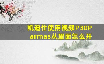 凯迪仕使用视频P30Parmas从里面怎么开