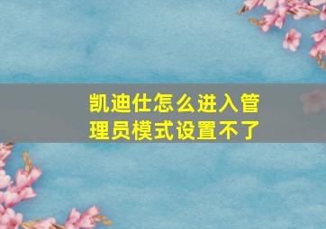 凯迪仕怎么进入管理员模式设置不了