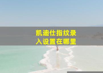 凯迪仕指纹录入设置在哪里