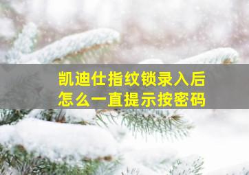 凯迪仕指纹锁录入后怎么一直提示按密码