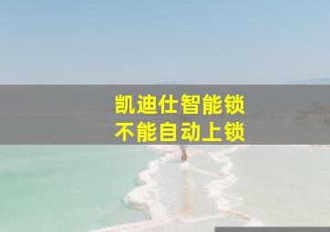 凯迪仕智能锁不能自动上锁