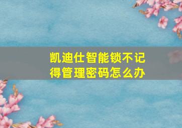 凯迪仕智能锁不记得管理密码怎么办