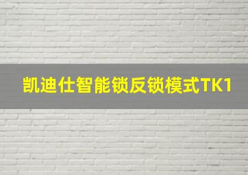 凯迪仕智能锁反锁模式TK1