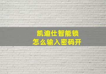 凯迪仕智能锁怎么输入密码开