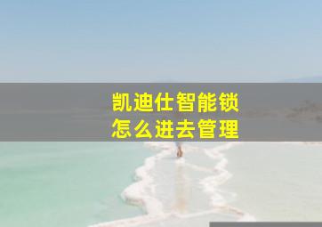 凯迪仕智能锁怎么进去管理