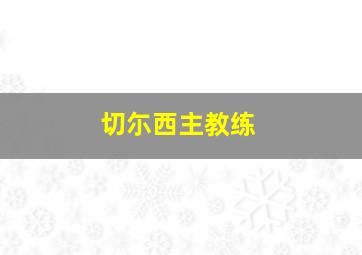 切尓西主教练