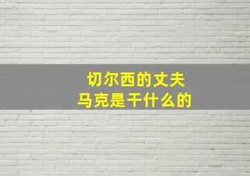 切尔西的丈夫马克是干什么的