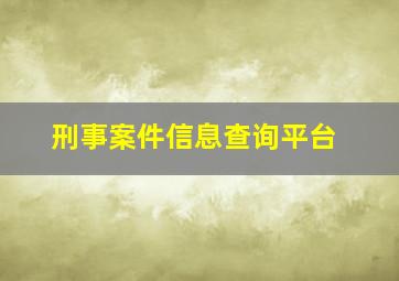 刑事案件信息查询平台