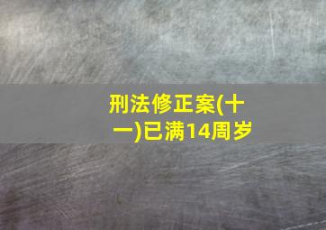 刑法修正案(十一)已满14周岁