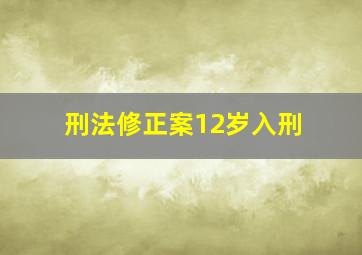 刑法修正案12岁入刑