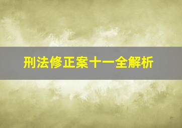 刑法修正案十一全解析