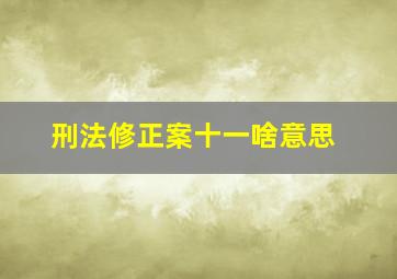 刑法修正案十一啥意思