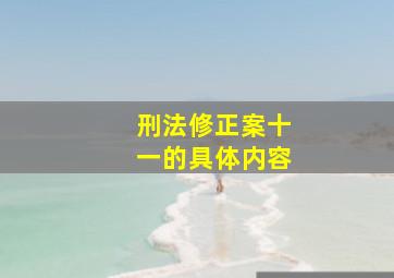 刑法修正案十一的具体内容