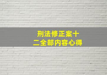 刑法修正案十二全部内容心得