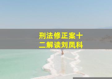 刑法修正案十二解读刘凤科