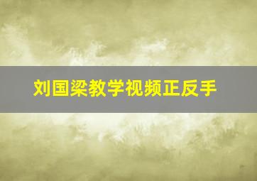 刘国梁教学视频正反手