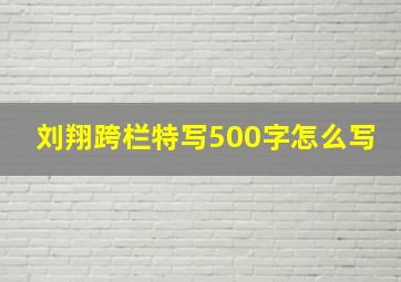 刘翔跨栏特写500字怎么写