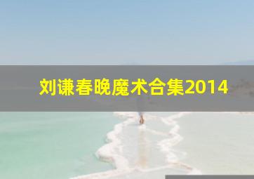 刘谦春晚魔术合集2014