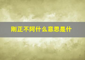 刚正不阿什么意思是什