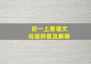 初一上册语文词语拼音及解释