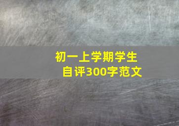 初一上学期学生自评300字范文