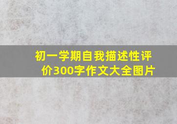 初一学期自我描述性评价300字作文大全图片