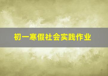 初一寒假社会实践作业