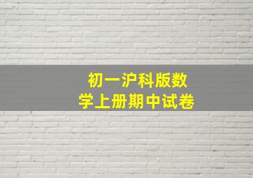 初一沪科版数学上册期中试卷