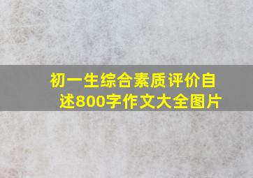 初一生综合素质评价自述800字作文大全图片