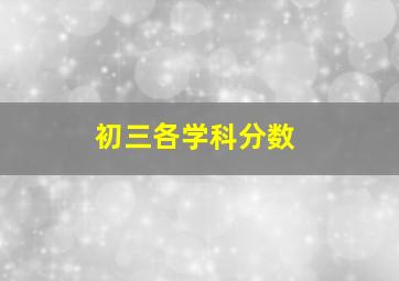 初三各学科分数