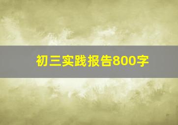 初三实践报告800字