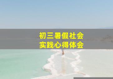 初三暑假社会实践心得体会