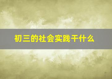 初三的社会实践干什么