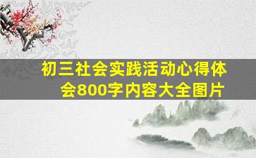 初三社会实践活动心得体会800字内容大全图片